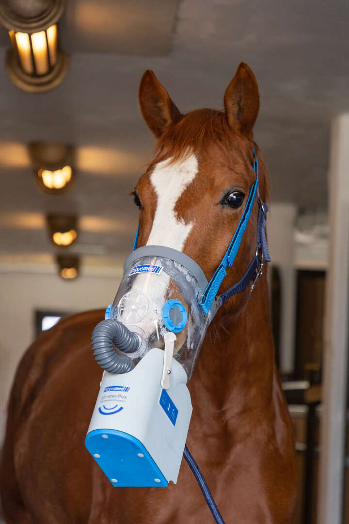 hippomed Akku-Ultraschall-Inhalator für Pferde AirOne Flex